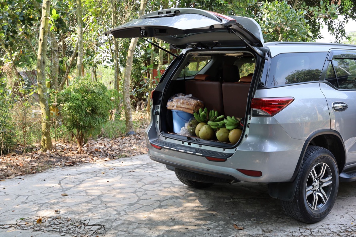 Spacious interior trunk area of a modern family SUV.