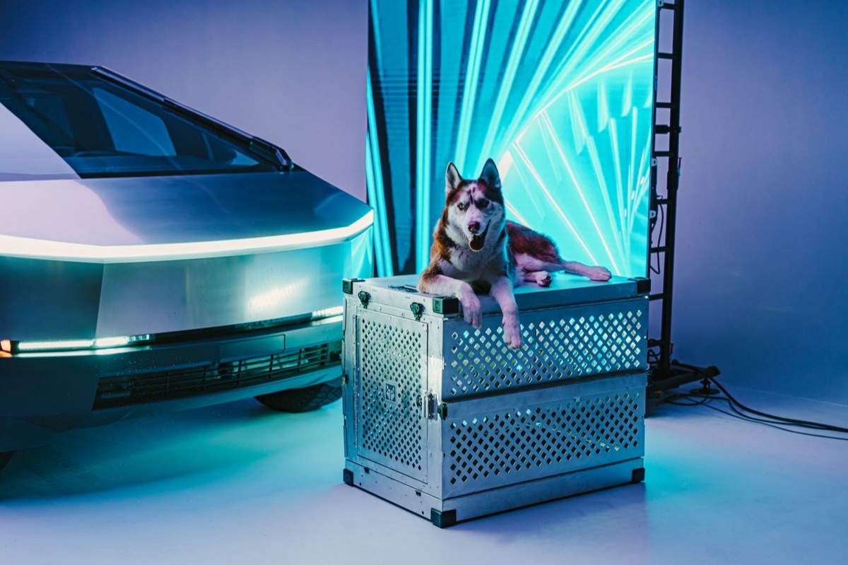 Gamme de véhicules électriques Tesla