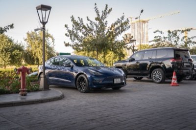 Model Y: 17,6 % Marktanteil – Erfolg durch bewährte Basis